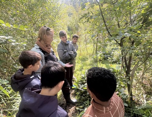 Genieten in het Voedselbos